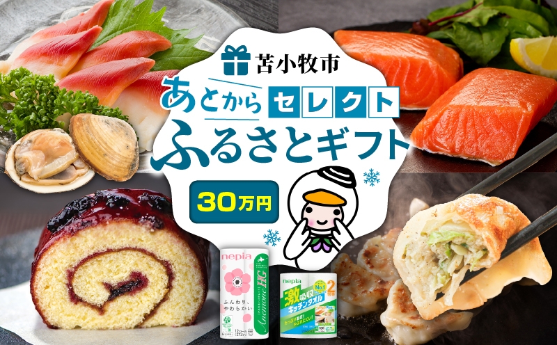 あとからセレクト【ふるさとギフト】30万円　T000-000-13