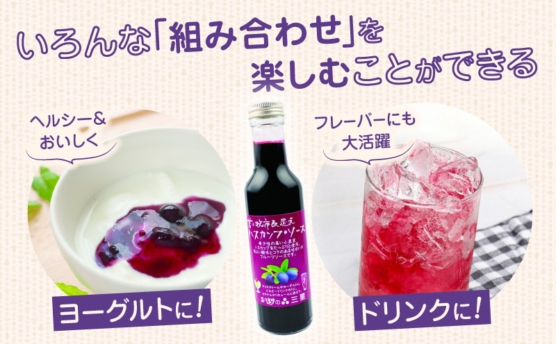 カナダ産 市民還元ハスカップソース 235g（3瓶）　T044-018【株式会社三星】