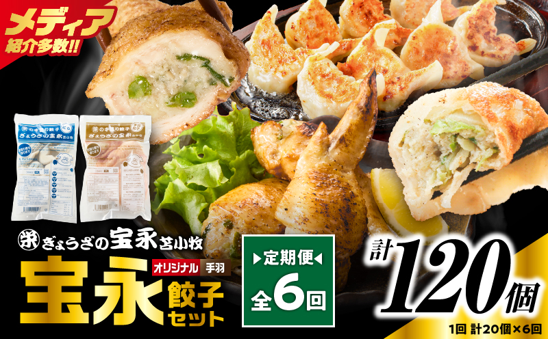 【定期便・全6回 毎月】手包み餃子 ぎょうざの宝永 手羽餃子20個セット（宝永餃子15個入×1袋・手羽餃子5個入×1袋）　T004-T06-01-04【有限会社ぎょうざの宝永】