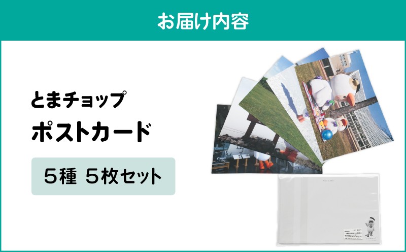 繝昴せ繝医き繝シ繝 5譫壹そ繝繝医T042-019
