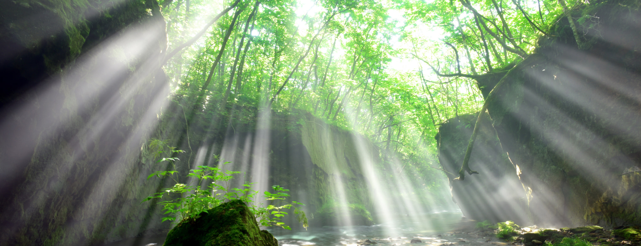 北海道苫小牧市