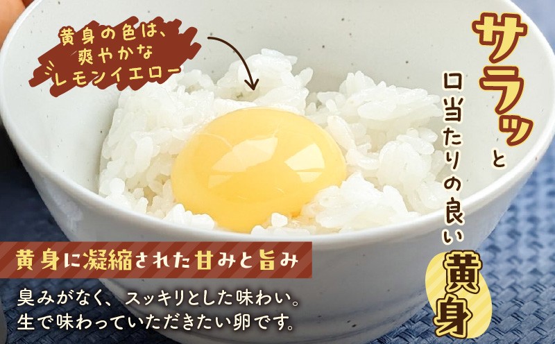 【全3回定期便】平飼いたまご（たまごトレー）　T074-T01-02
