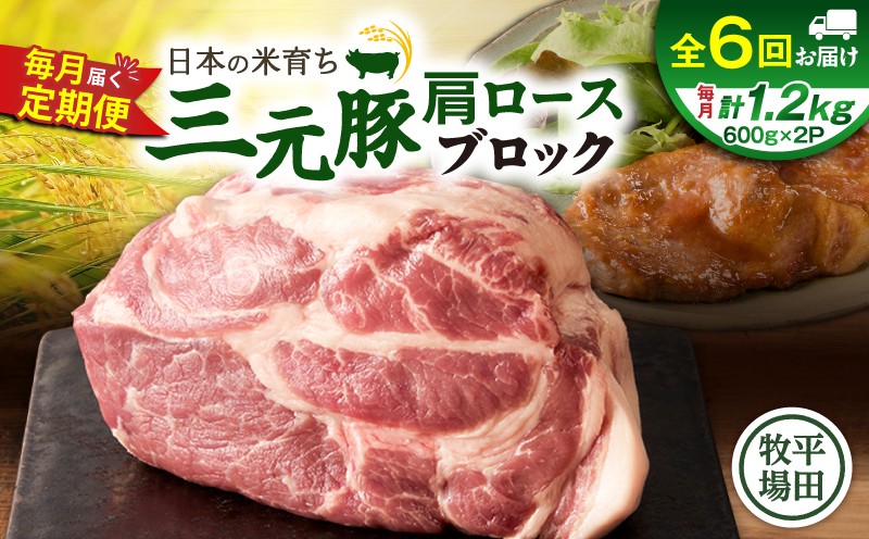【全6回 毎月定期便】日本の米育ち平田牧場三元豚肩ロースブロック 1.2kg　T036-T11-02