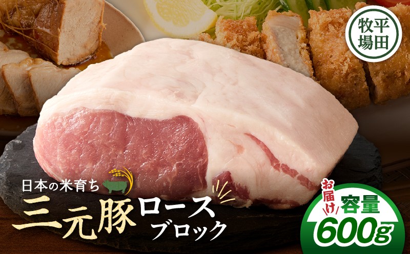 【平田牧場】三元豚ロースブロック 600g　T036-014