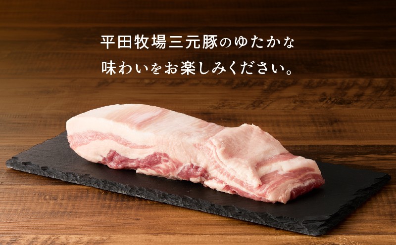 縲仙ケウ逕ー迚ァ蝣エ縲台ク牙雎壹ヰ繝ゥ繝悶Ο繝繧ッ 600g縲T036-015