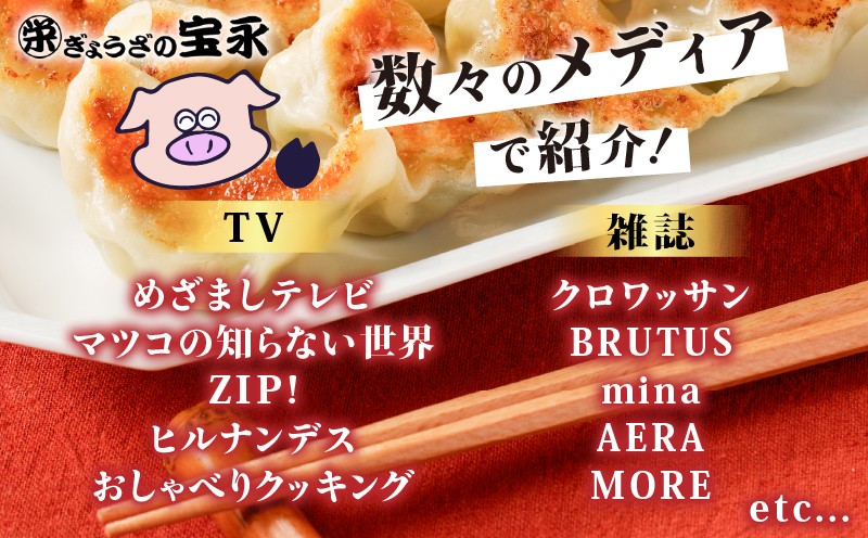 【全3回定期便（毎月）】ぎょうざの宝永 しそ餃子セット（宝永餃子 15個入×2袋＆しそ餃子 15個入×2袋）合計1.5kg　T004-T04-02