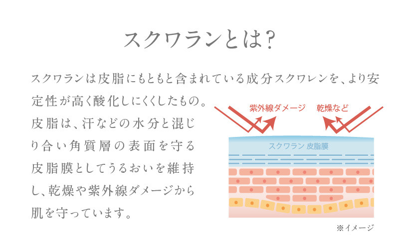 HABA 繧ケ繧ッ繝ッ繝ゥ繝ウIIシ30mlシ峨T003-001