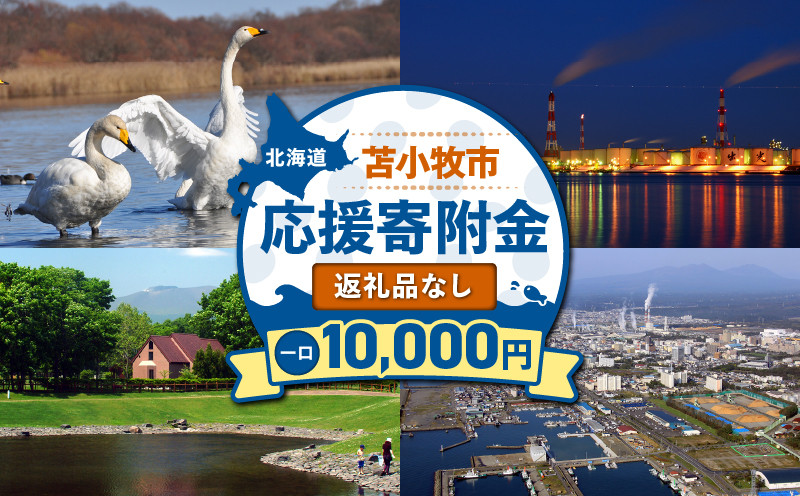 北海道苫小牧市応援寄附金（返礼品なし）10,000円　T000-001-03