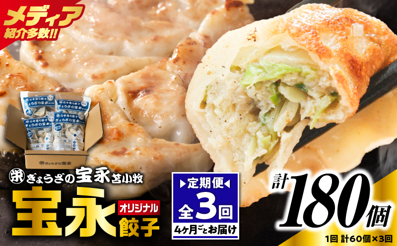【定期便・全3回 4ヶ月毎】手包み餃子 ぎょうざの宝永 宝永餃子60個セット（宝永餃子15個入×4袋）　T004-T01-01【有限会社ぎょうざの宝永】