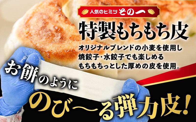 【全3回定期便（4ヶ月毎）】ぎょうざの宝永 しそ餃子セット（宝永餃子 15個入×2袋＆しそ餃子 15個入×2袋）合計1.5kg　T004-T04-01
