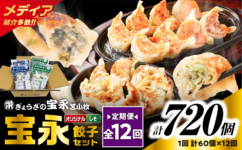 【全12回定期便（毎月）】ぎょうざの宝永 しそ餃子セット（宝永餃子 15個入×2袋＆しそ餃子 15個入×2袋）合計1.5kg　T004-T04-05