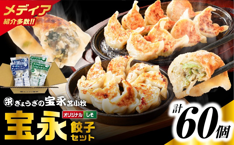 ぎょうざの宝永 しそ餃子セット（宝永餃子 15個入×2袋＆しそ餃子 15個入×2袋）合計1.5kg　T004-004