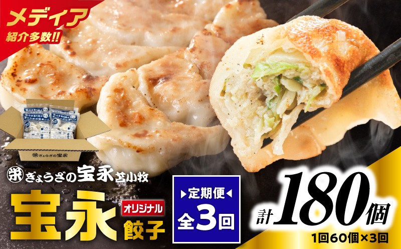 【全3回定期便（毎月）】ぎょうざの宝永 宝永餃子 15個入セット（宝永餃子15個入×4袋）合計1.5kg　T004-T01-02