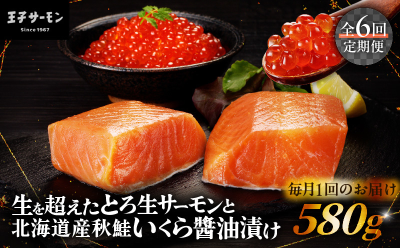 【全6回定期便（毎月）】【王子サーモン】生を超えた「とろ生サーモン」と北海道産秋鮭 いくら醤油漬セット 計580g　T041-T01-03