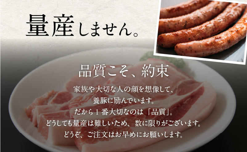 【10営業日以内に発送】B1とんちゃんの豚まん6個入り　T010-001