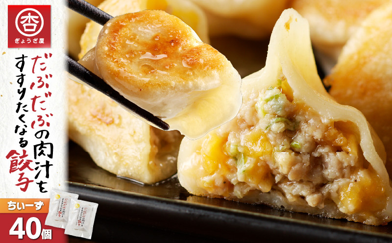 だぶだぶの肉汁をすすりたくなる餃子ちぃーず 40個　T060-003