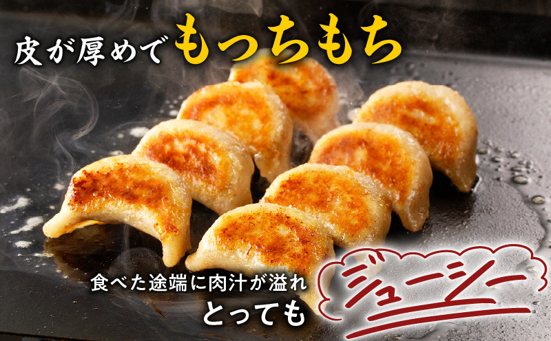 【カレーラーメン4食 餃子40個 Aセット】味の大王 カレーラーメン 元祖ホッキ餃子（20個） スタミナ餃子（20個）　T013-001