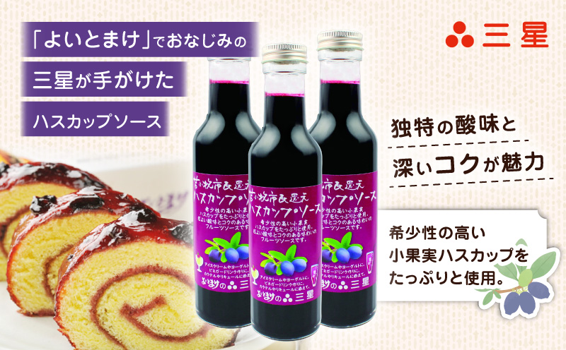 カナダ産 市民還元ハスカップソース 235g（3瓶）　T044-018【株式会社三星】