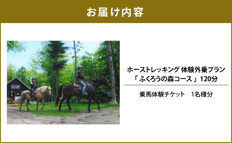 繝帙シ繧ケ繝医Ξ繝繧ュ繝ウ繧ー 菴馴ィ灘、紋ケ励励Λ繝ウ 120蛻 縲後オ縺上m縺縺ョ譽ョ繧ウ繝シ繧ケ縲阪T014-003