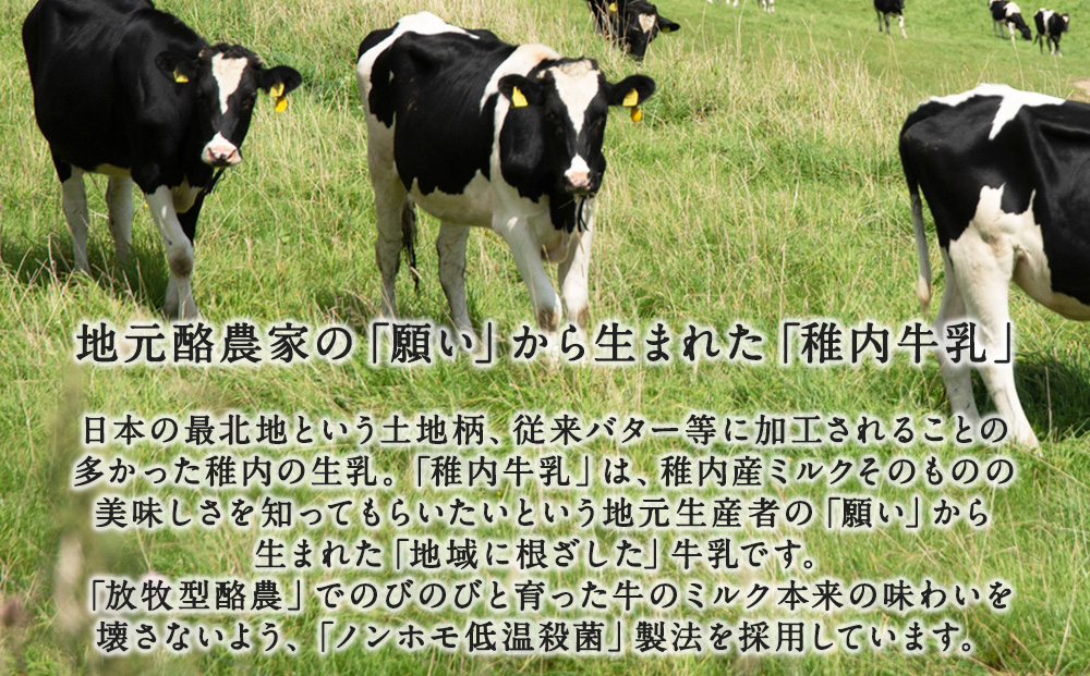 【定期便6ヶ月】稚内牛乳 のむヨーグルト 詰め合わせ（500g×2本、150g×12本）