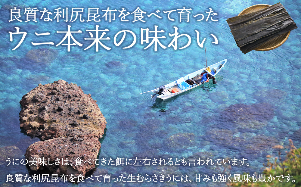 【先行予約】【厳選PREMIUM】美味しいウニは昆布の名産地にあり!生むらさきうに240g