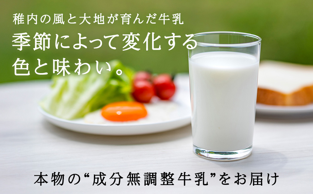 【定期便4回】3カ月に一回届く！季節ごとに変わる味が楽しめる 稚内牛乳 900ml×2本