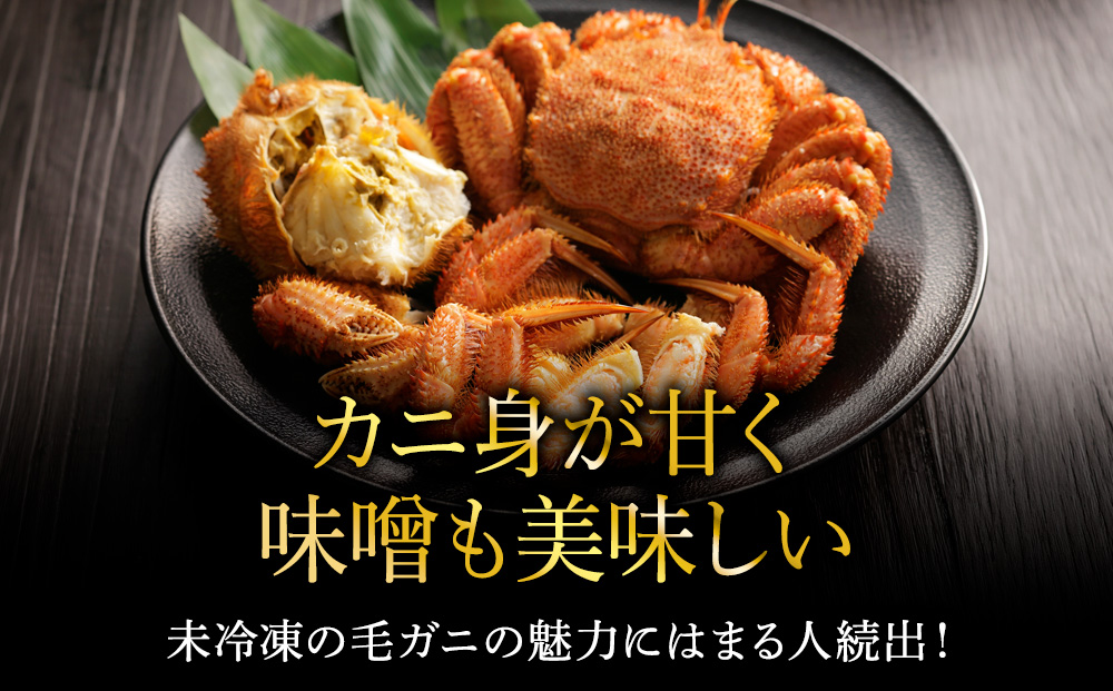 縲先悴蜀キ蜃阪∝キ阡オ逋コ騾! 2026蟷エ譁ー迚ゥ縲第・オ繝サ遞壼逕」豈帙ぎ繝500g縲600g 豬懆源縺ァ繝√Ν繝