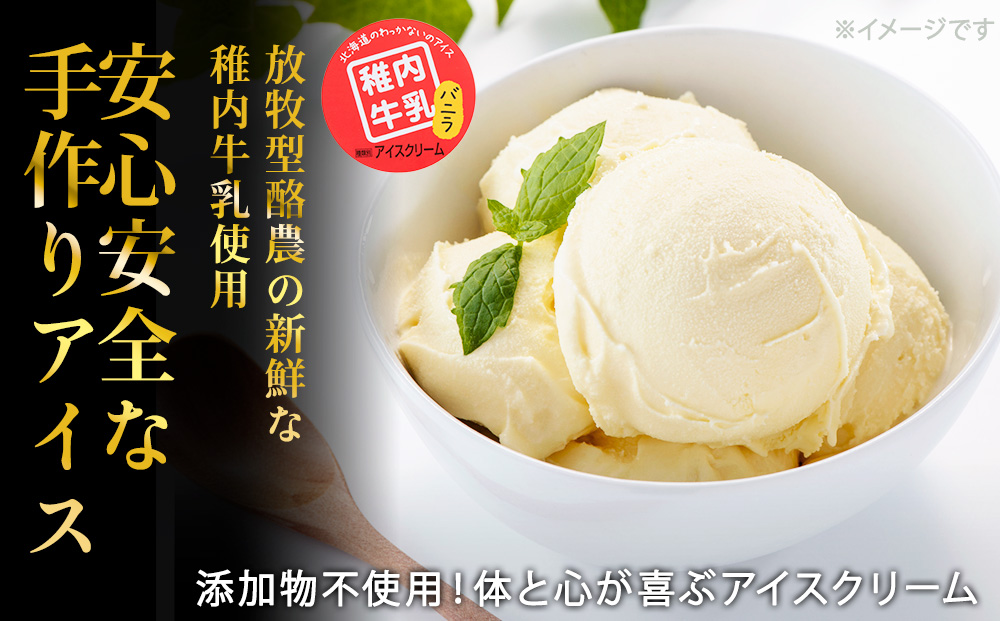 【業務用】稚内牛乳アイスクリーム 2000ml バニラ × バニラ 2個 セット