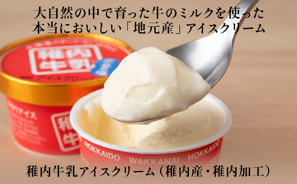 稚内牛乳 アイスクリーム 宗谷の塩　20個セット（各90ml）