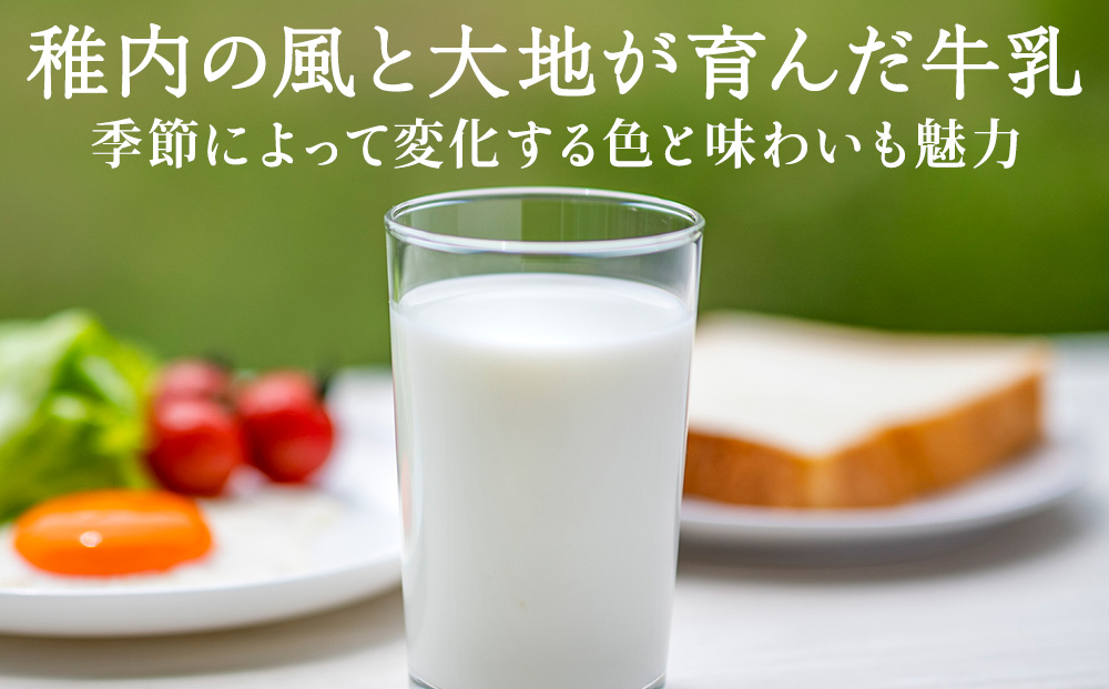 【定期便6ヶ月】稚内牛乳 200ml×8本