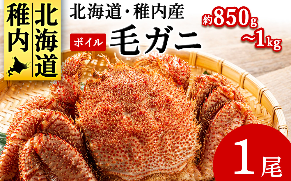 北海道産 毛ガニ 1尾 850g〜1kg（ボイル）【2025製造】