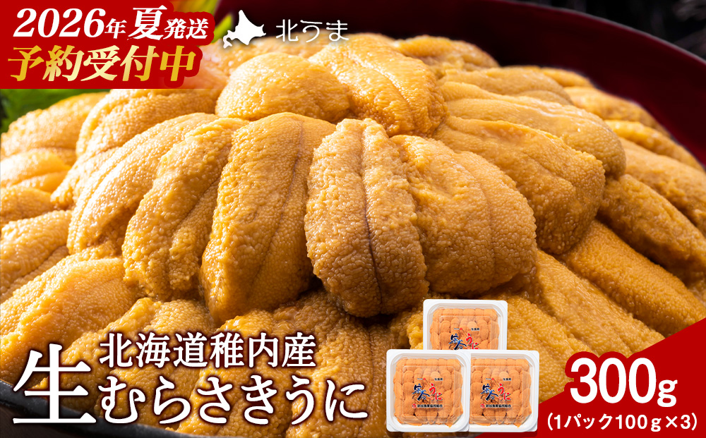 【先行予約】【うにの名産地稚内市】最北端の生むらさきうに(100gパック×3) うに ウニ ムラサキウニ
