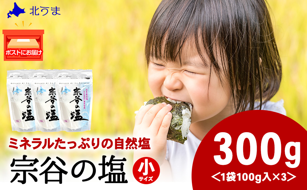 宗谷の塩100g×3袋