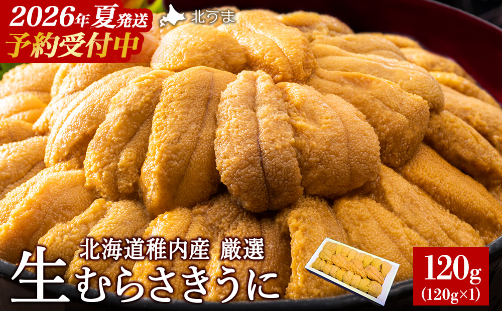 【先行予約】【厳選PREMIUM】美味しいウニは昆布の名産地にあり!生むらさきうに120g