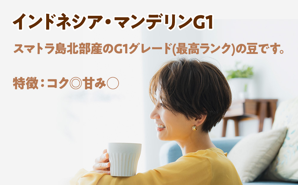 自家焙煎珈琲　ドリップバッグコーヒー ブラジル・アララ・アナエロビック 12袋《中煎り》