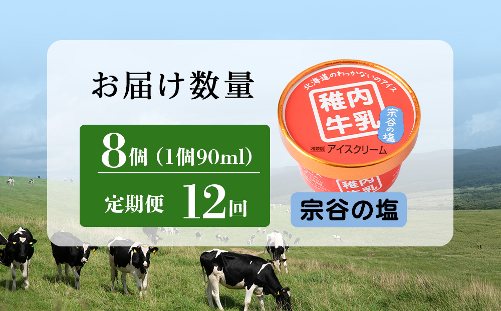 【定期便12ヶ月】稚内牛乳 アイスクリーム 宗谷の塩　8個セット（各90ml）