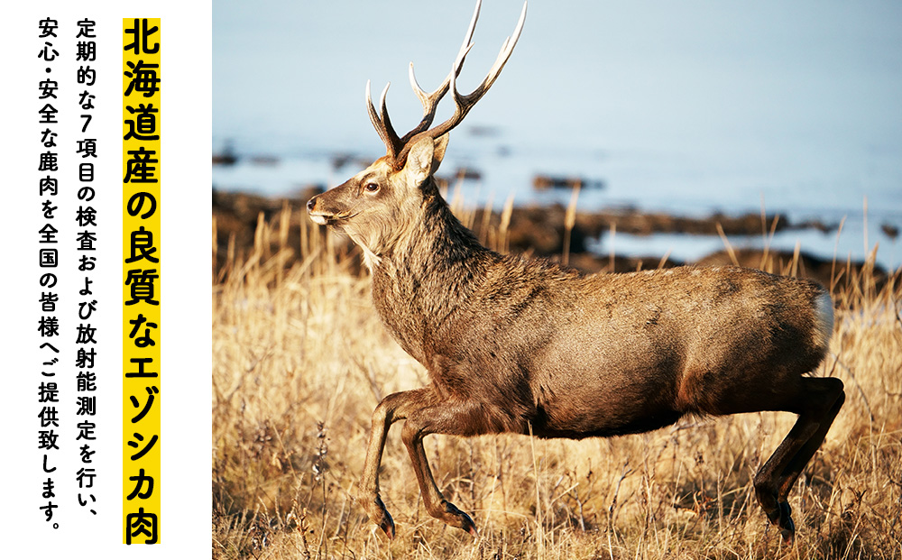 【ペット用エゾ鹿肉】贅沢まるごとレトルトセット全12品 合計1.6kg