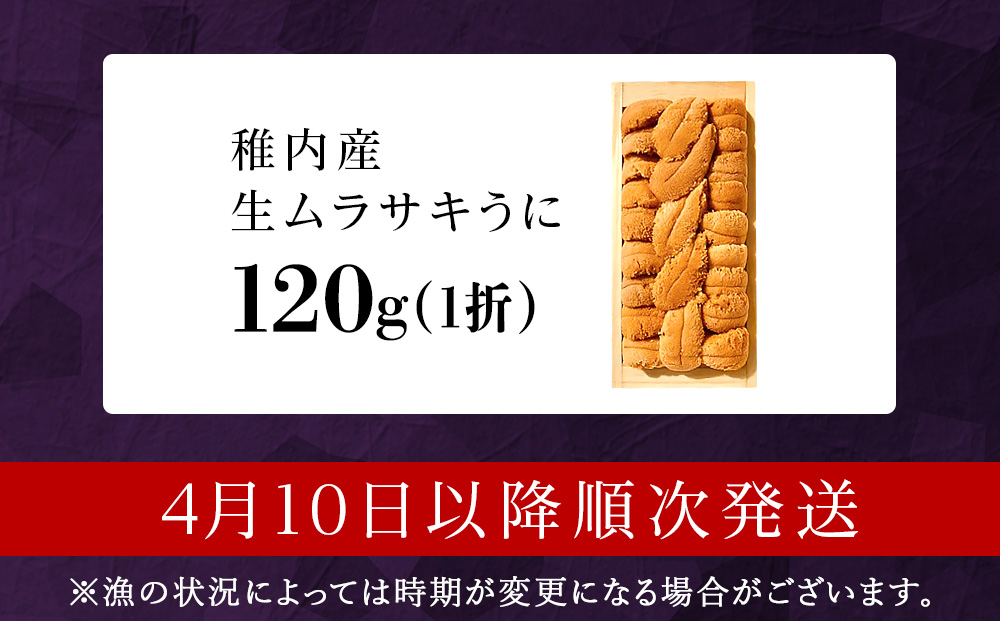 【厳選品】生ムラサキウニ木箱入り120g