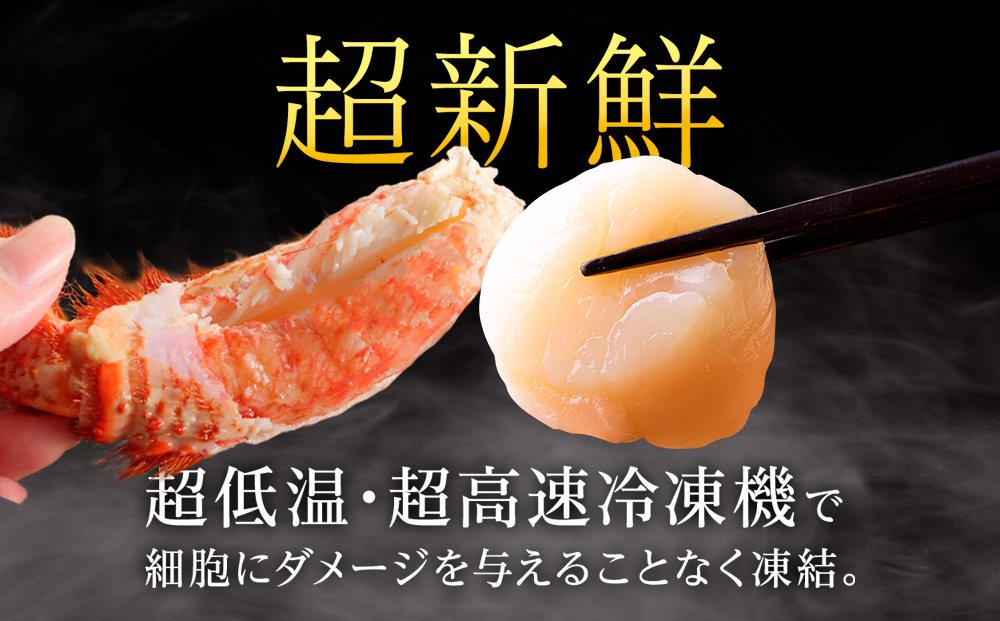 ãã€ãã¹70âåçµã»ããããã§æ¯ã¬ããšãã¿ãçå·ãÃ2ã»ãã