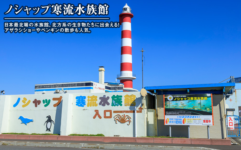 蛹玲オキ驕 遞壼蟶や蠢懈抄蟇莉倬50000蜀笘縲占ソ皮、シ蜩√↑縺励