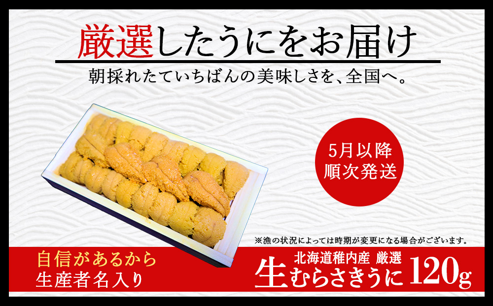 【先行予約】【厳選PREMIUM】美味しいウニは昆布の名産地にあり!生むらさきうに120g