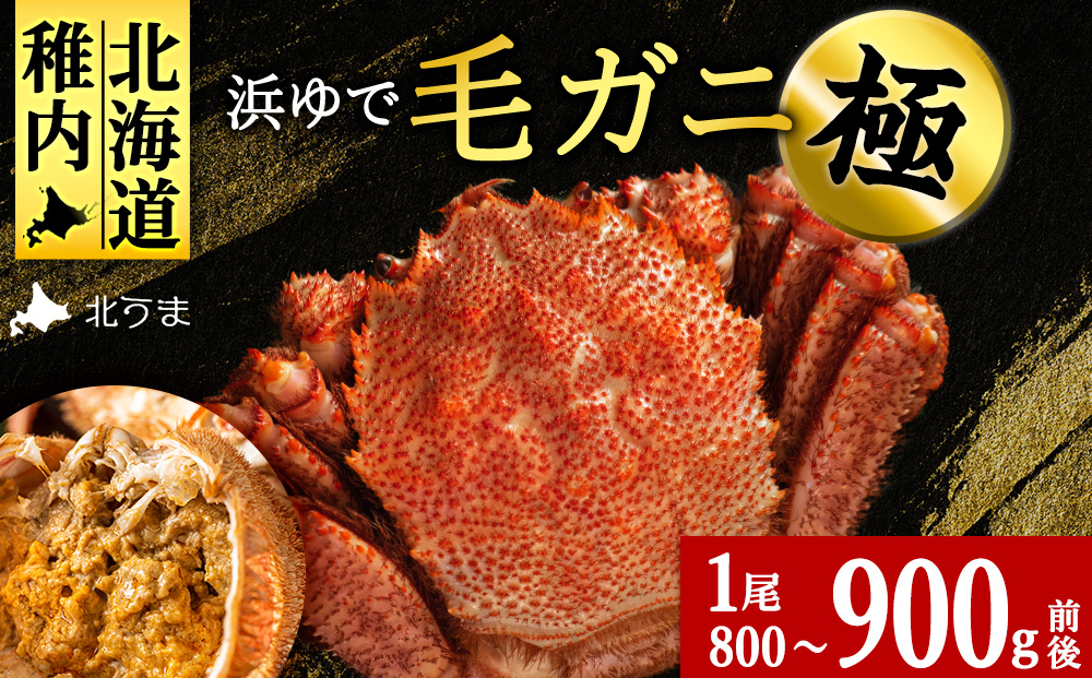 【稚内産・極】 浜ゆで毛ガニ(堅蟹) 800g〜900ｇ×1尾