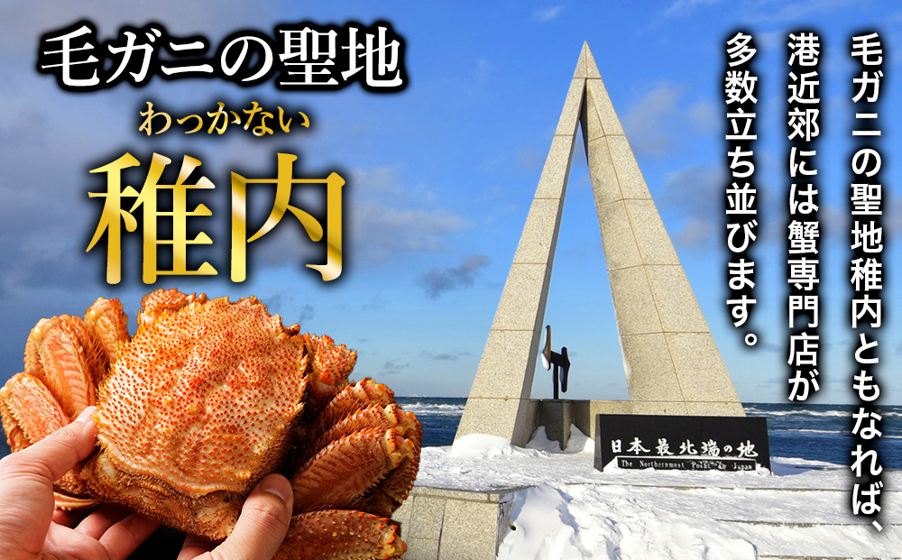 縲先悴蜀キ蜃阪∝キ阡オ逋コ騾! 2026蟷エ譁ー迚ゥ縲第・オ繝サ遞壼逕」豈帙ぎ繝500g縲600g 豬懆源縺ァ繝√Ν繝