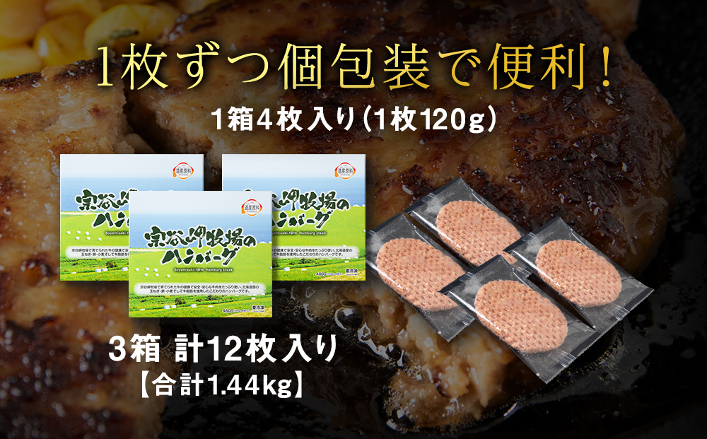 【稚内ブランド認定品】宗谷岬牧場のハンバーグ　120g4枚入×3箱（合計12枚）