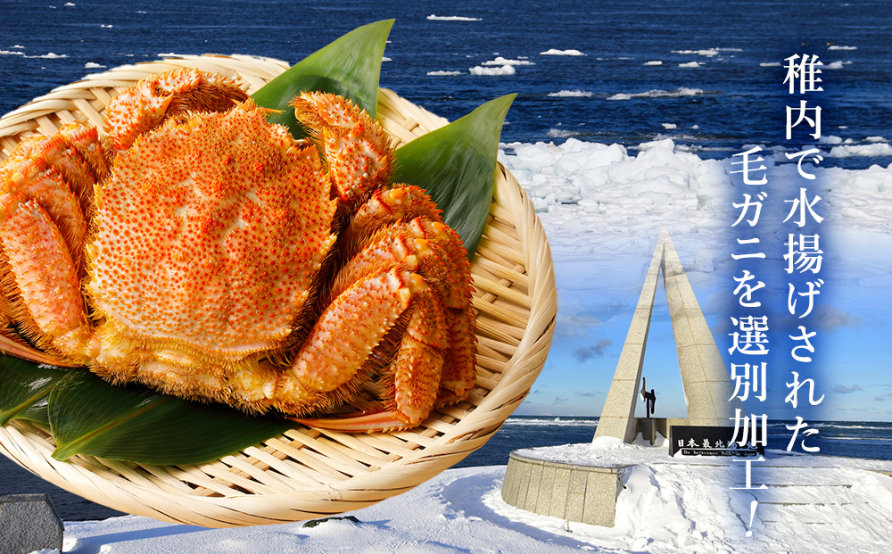 çšå
ç£ãæ¯ãã« 700gååŸ2å°Ÿã»ãã