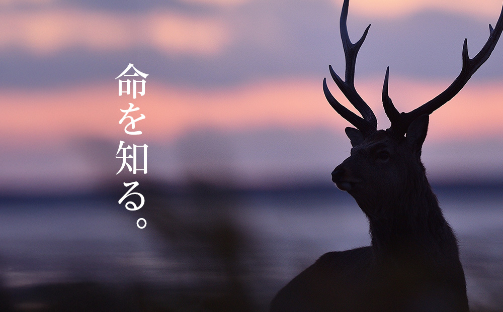 自然について命について学ぶエゾ鹿狩猟ツアー【最大参加人数4名様】