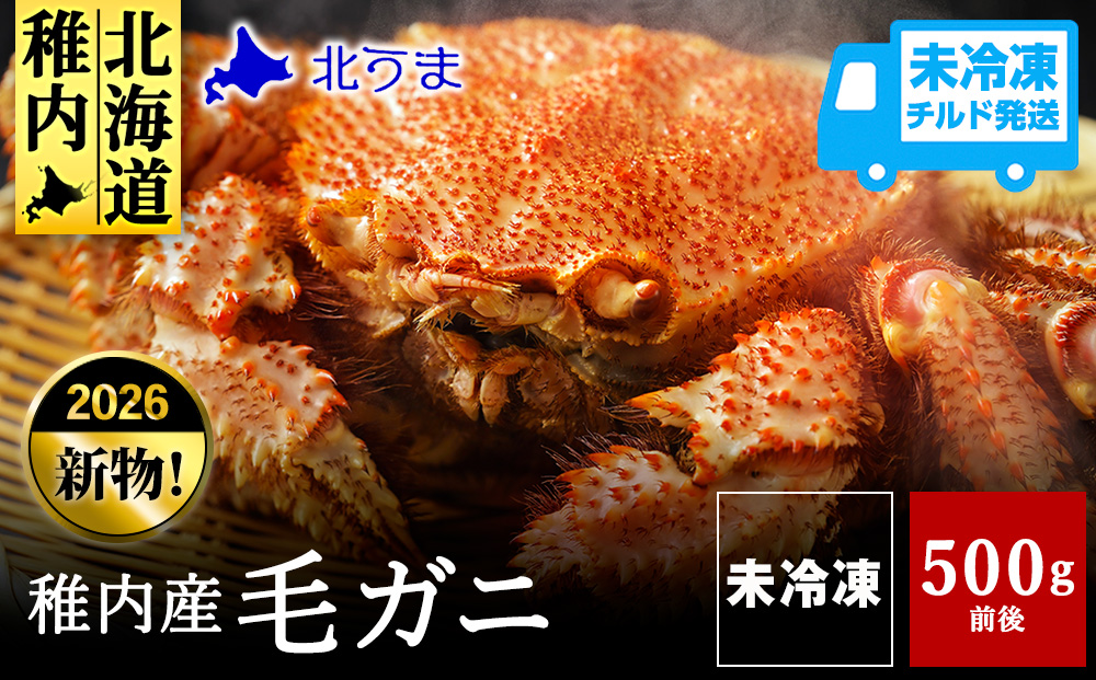 【未冷凍、冷蔵発送! 2026年新物】極・稚内産毛ガニ500g〜600g 浜茹でチルド