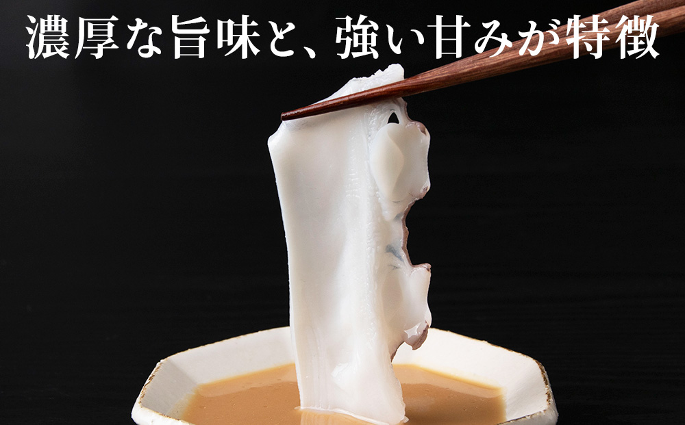 ãTVã§ç޹ä»ãããããããã¶ãçšå
ç£ããããã¶ïŒç¹è£œã¿ã¬ä»ãïŒ2ã3åçš