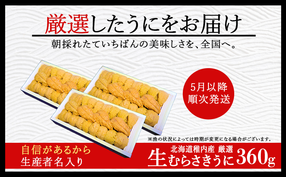 【先行予約】【厳選PREMIUM】美味しいウニは昆布の名産地にあり!生むらさきうに360g