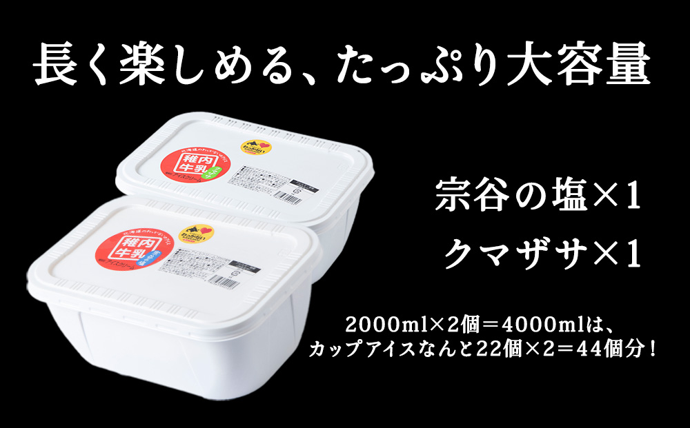 【業務用】稚内牛乳アイスクリーム2000ml宗谷の塩×クマザサ2個セット